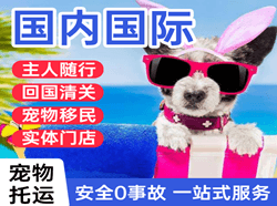 普陀山航空快递国际宠物托运 【国